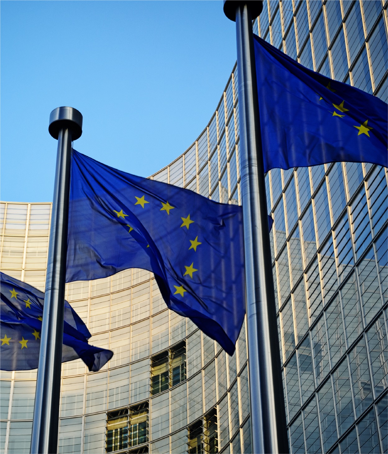 EU-Flaggen vor einem Regierungsgebäude